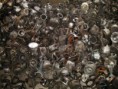 /album/fotogaleria-inicio/pistones-jpg/