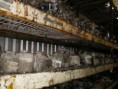 /album/fotogaleria-inicio/alternador01-jpg/