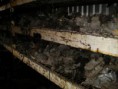 /album/fotogaleria-inicio/carburador-jpg/